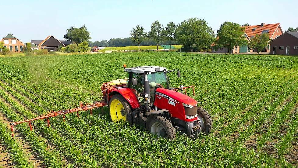 Tolkamp agri service uit Aalten gras onderzaaien in een maïsperceel