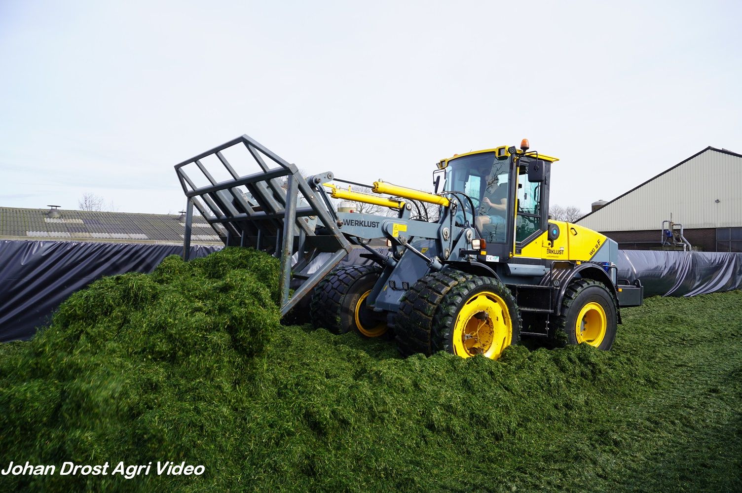 New Holland › Gras hakselen met een New Holland FR500 | Trekkerweb.nl ...