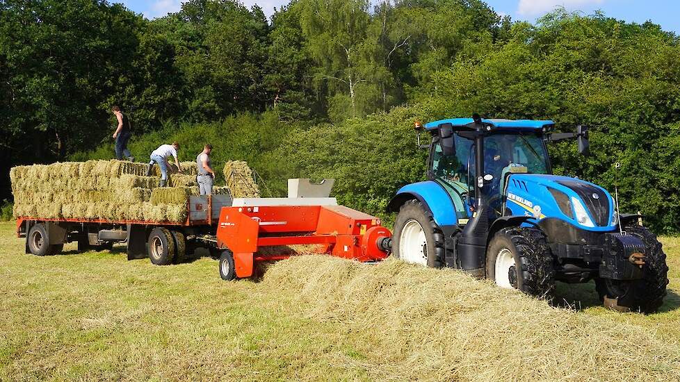 2024 | New Holland T6.145 + Welger | Balen persen + laden | D Hazeleger Elspeet | Pressing bales