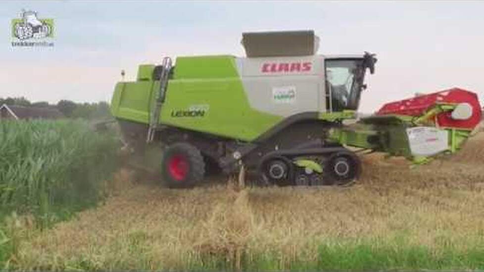 In de wintergerst met een Claas 670 en 460 Trekkerweb