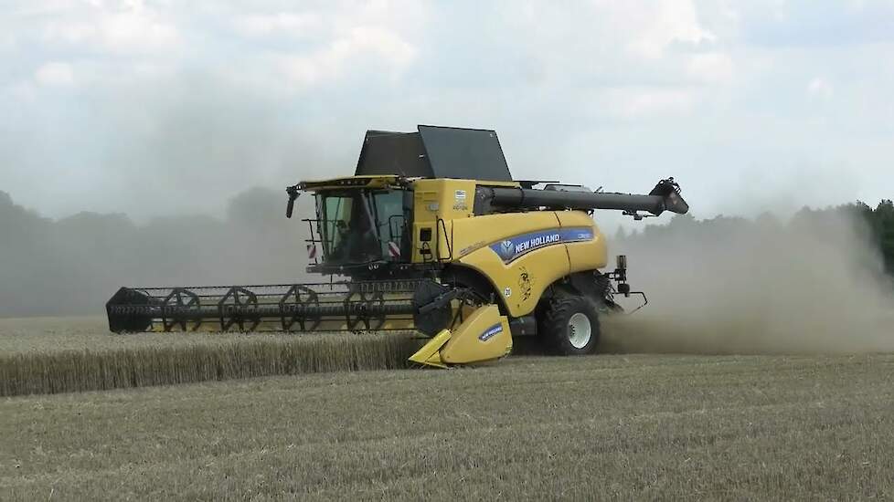 GRAANOOGST TARWE DORSEN MET EEN NEW HOLLAND CR 8.90