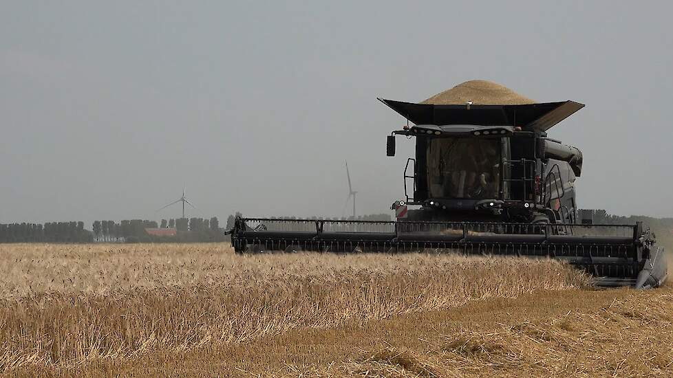 De eerste Massey Ferguson IDEAL 7 combine in actie in Nederland