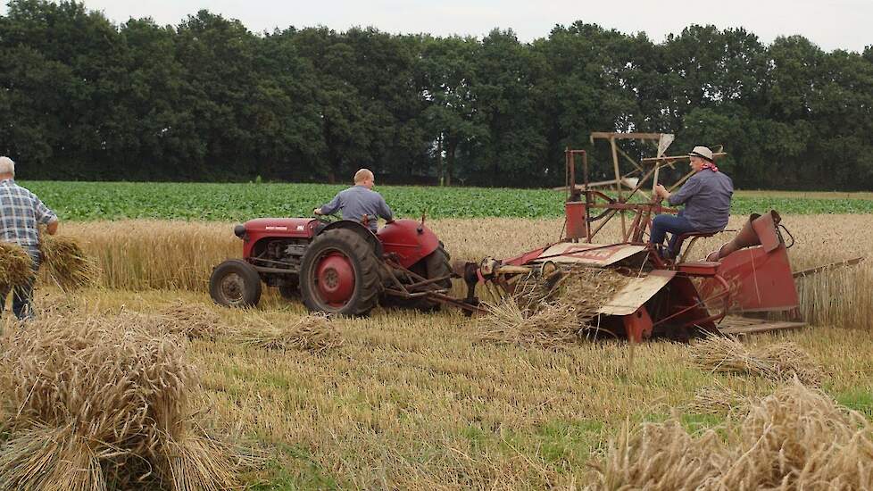 Claas SF combine en Fahr zelfbinder