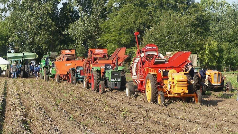 Old skool potato harvest Grimme Sterbo Climax Ford MF Hanomag  John Deere