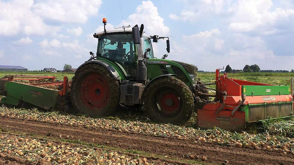 Fendt 516 -Uien rooien met nieuwe Holaras rooicombinatie