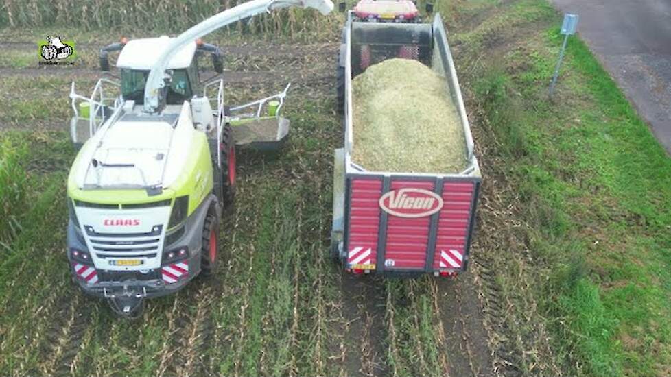 Vicon-silagewagens in de maïs