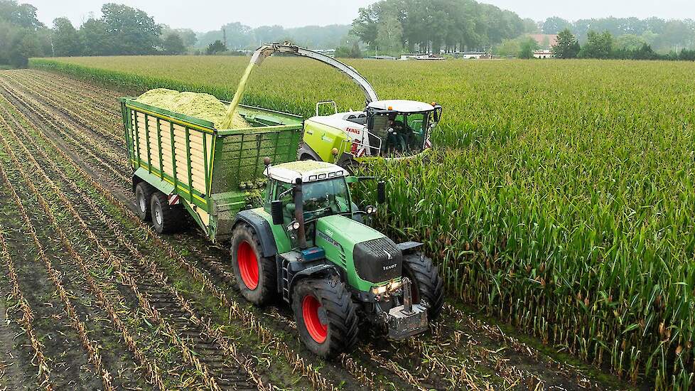 Mais 2024 | Claas Jaguar 960 + 10 Row | Fendt 924 Vario TMS with Krone | Vragender