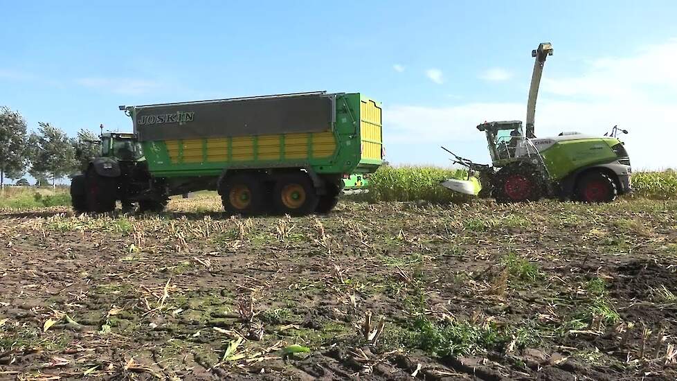 DE EERSTE MAIS VAN 2024 / 100 DAGEN MAIS MET EEN CLAAS JAQUAR 980 FENDT 828 JOSKIN