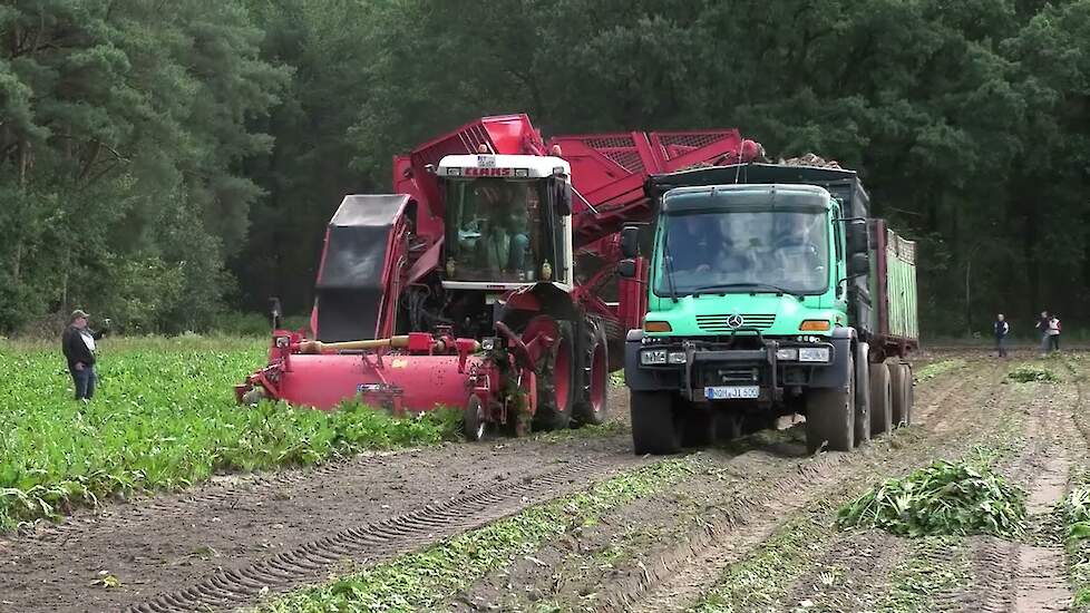 CLAAS XERION/HOLMER BIETENROOIER YOUNGTIMER FELDTAG NORDHORN 14-09-2024