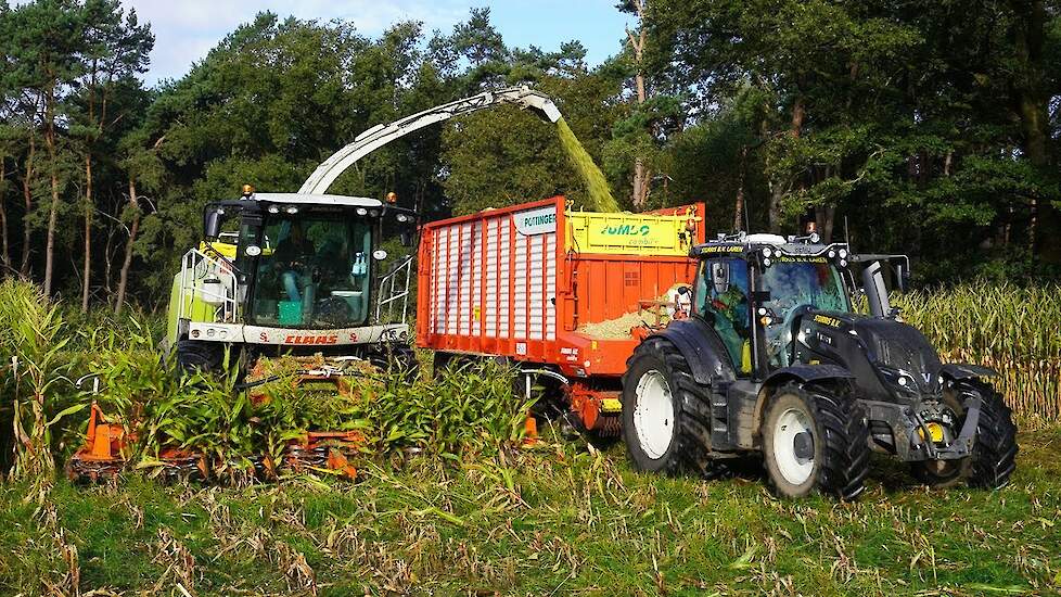 Mais 2024 | Claas Jaguar + 3x Valtra | Sturris Laren | Maishakselen | Mais silage | Maishäckseln