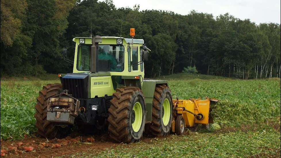 Voederbieten rooien met MB Trac - MB Trac und Unimog - Treffen Nordhorn