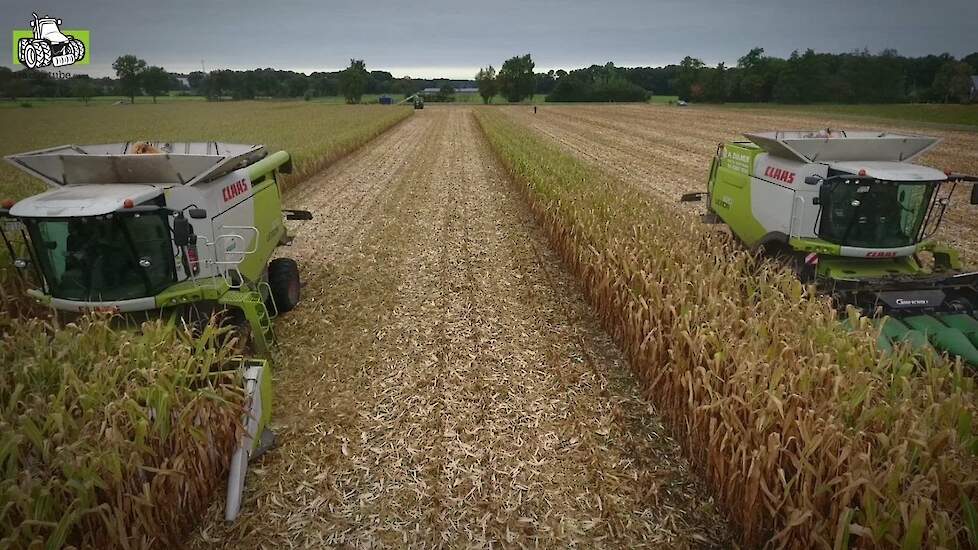 Twee maal Claas Lexion 670 TT Terra Trac aan het maïsdorsen voor ccm Trekkerweb