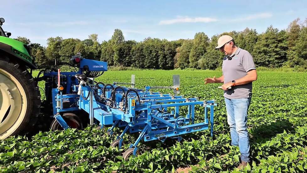 Schoffelen in sperziebonen met Lemken EC weeder en uitleg door specialist