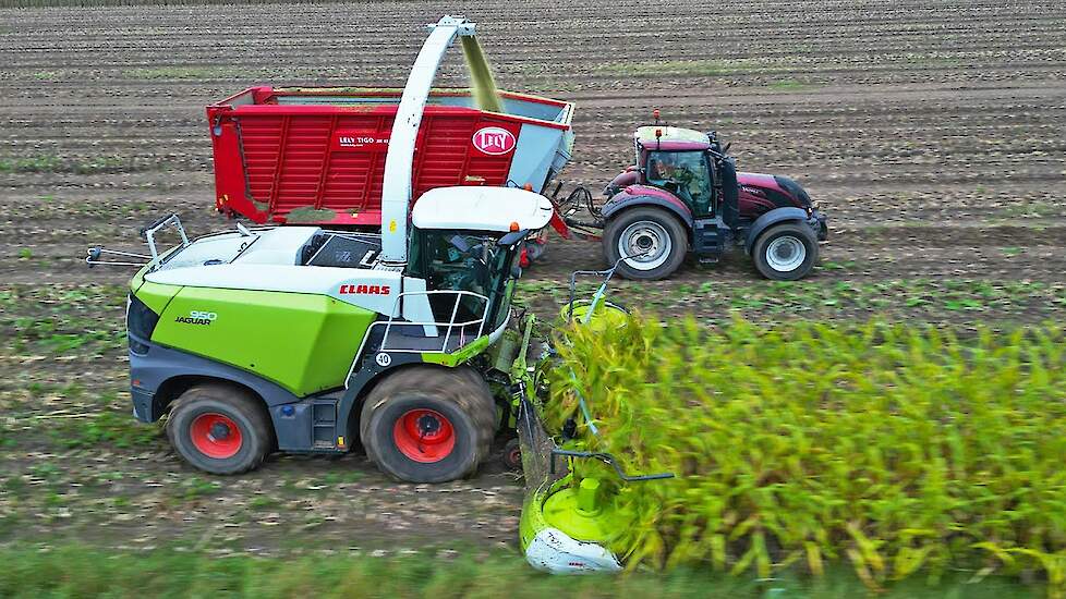 Mais Silage 2024 | Claas Jaguar 950 + Valtra | Dreierink