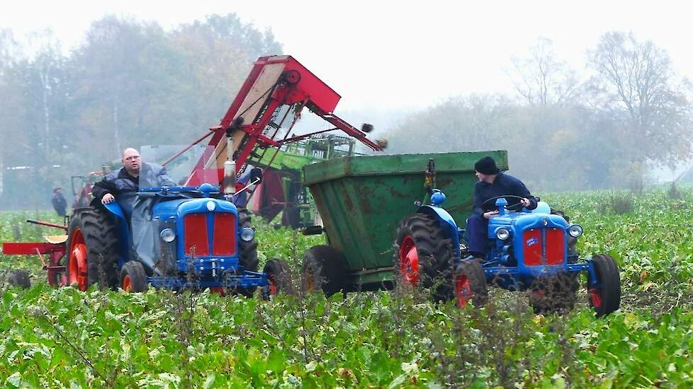 Oldtimer suikerbieten rooien met alleen maar eenrijige rooimachines