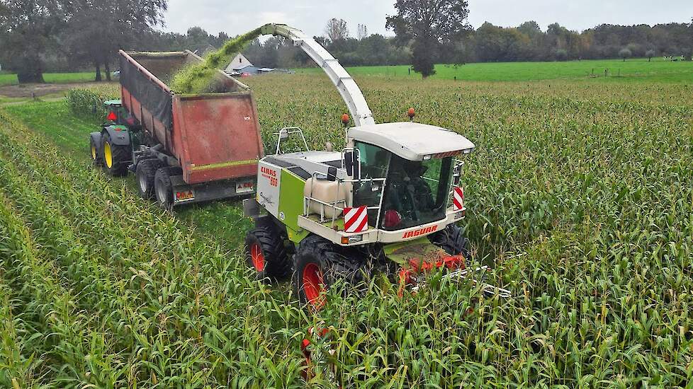 Mais Silage 2024 | Claas Jaguar 860 + John Deere | Jan Schut