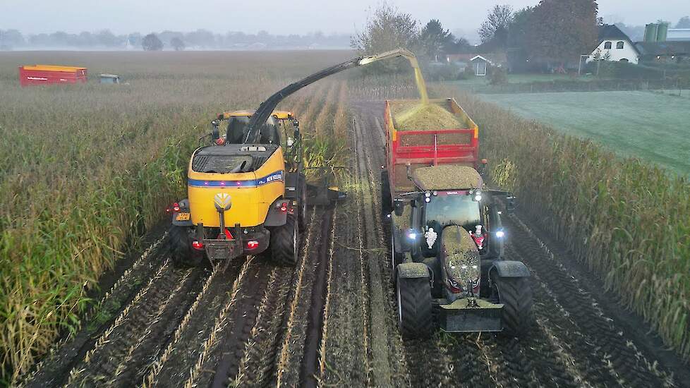 Mais Silage 2024 | New Holland FR600 + Valtra | NAP | NLR Agri