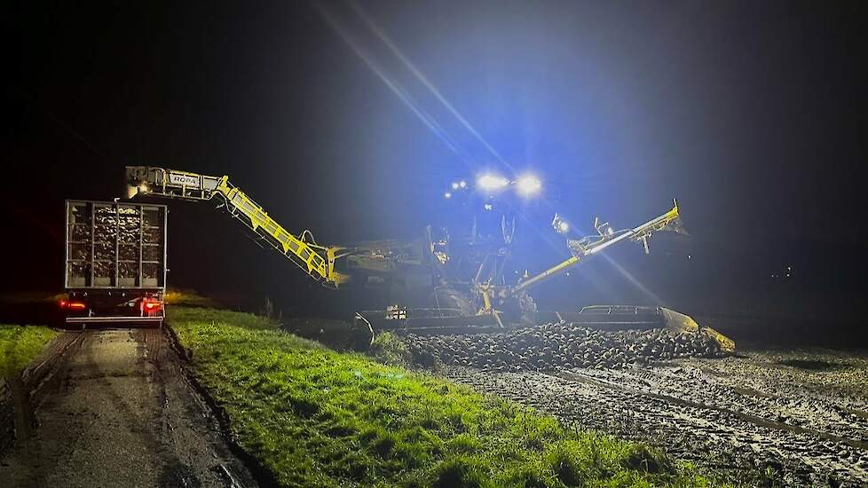 Ropa Maus 6 aan het suikerbieten laden en de Muis op transport