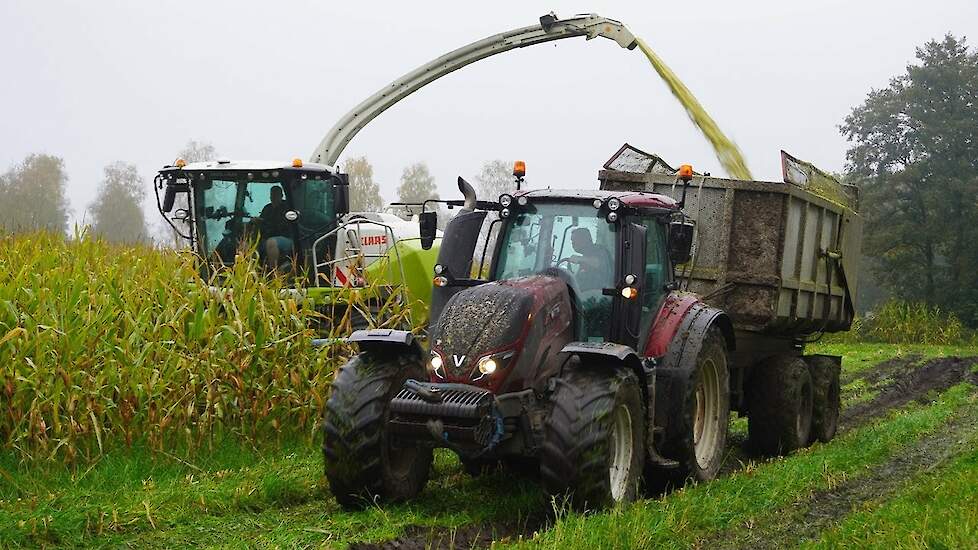 Mais 2024 | Claas Jaguar 950 | 3x Valtra T234 | Dreierink Terwolde | Mais hakselen in de regen