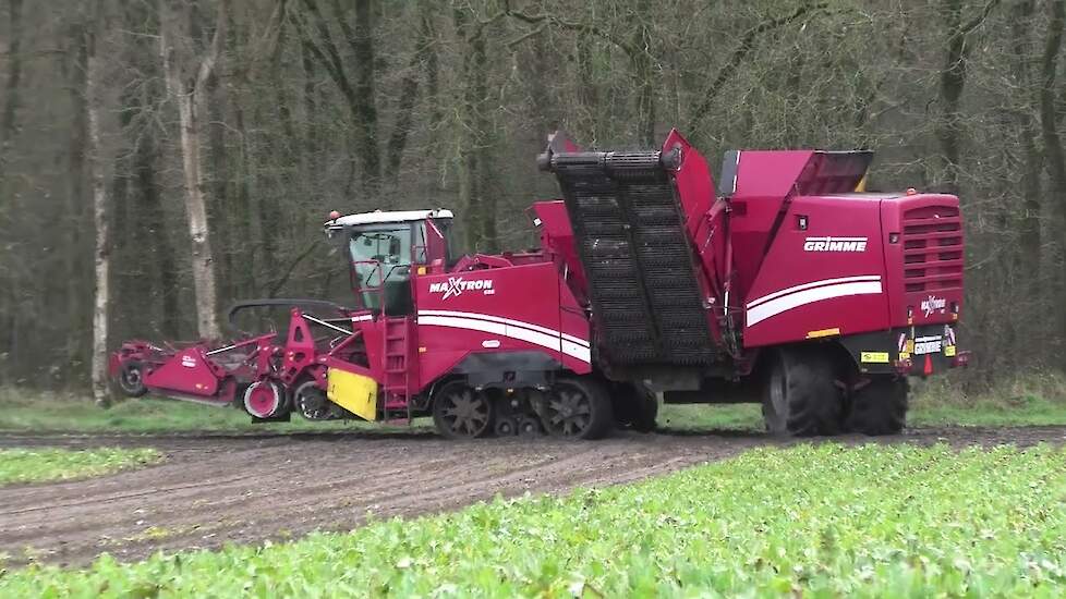 SUIKERBIETEN ROOIEN MET EEN GRIMME MAXTRON 620