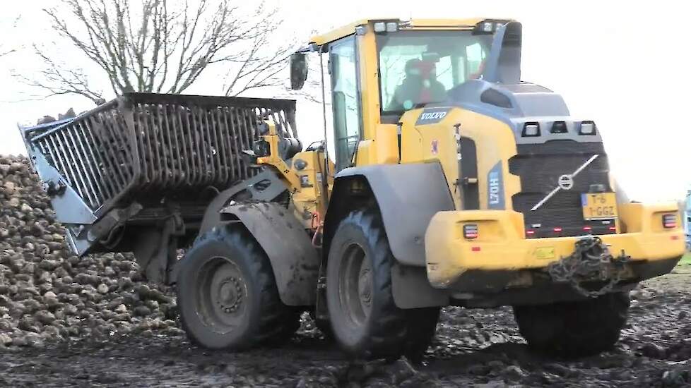 SUIKER BIETEN LADEN MET EEN VOLVO L70 H WIGCHERS SCHOONOORD