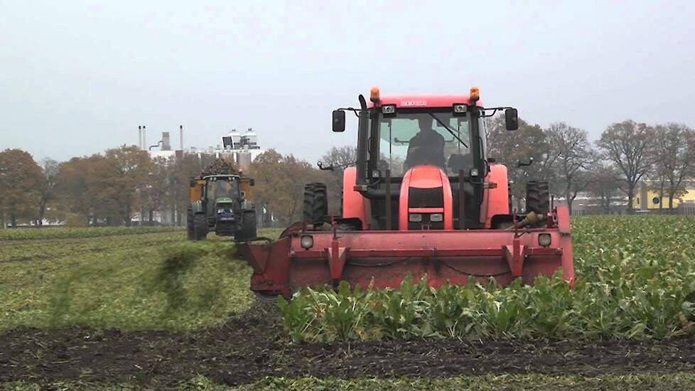 Zetor suikerbieten rooien Trekkerweb