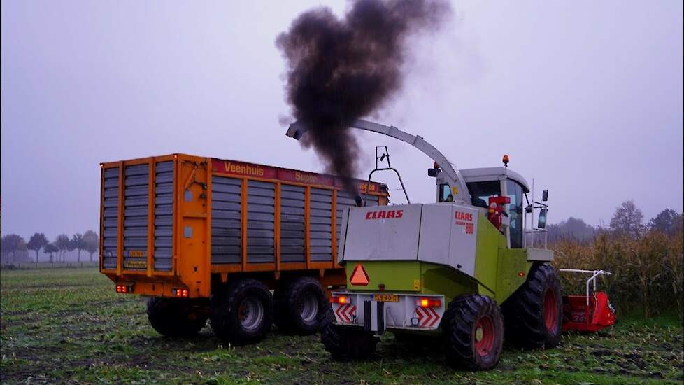 Mais 2024 | Claas Jaguar 880 | Deutz-Fahr | ten Voorde Beemte-Broekland | Maishakselen in de regen