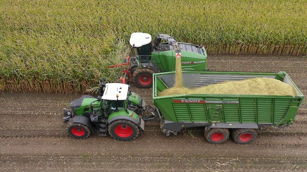 Fendt Katana 650 van Loonbedrijf BMWW Agriservice aan het maïs hakselen